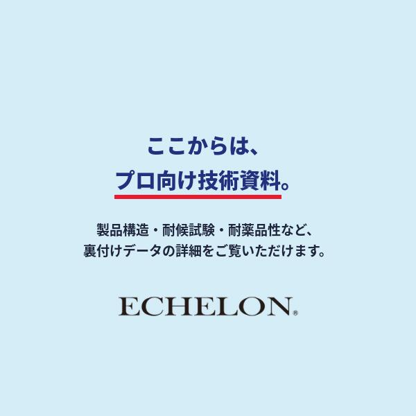 ヘッドライトプロテクションフィルム カット済み 日産 マーチ (H14.3-H17.7) (K12/AK12/BK12/BNK12) (PH0325A0205A0SA) ECHELON