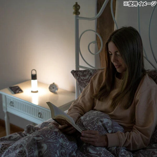 日本正規品 レッドレンザー LEDランタン ML6 Connect WL 暖色光 750lm スマホ操作対応 無段階調光 充電式 IP66防水 マグネット充電 パワーバンク機能 キャンプ (502201) (4058205021203) Ledlenser