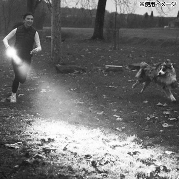 日本正規品 レッドレンザー ハンドライト P5R 第四世代 750lm 照射距離280m 充電式 単3電池兼用 IP68完全防水 99g モードセレクトリング 2m落下耐久 EDC アウトドア (503109) (4058205037310) Ledlenser