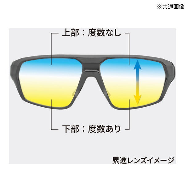 タジマ リーディンググラス 遠近両用リーディンググラス+3.0 (RG-B30)(4975364269522) TAJIMA TJMデザイン