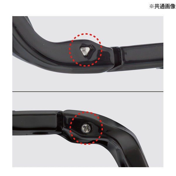 タジマ リーディンググラス 老眼用ポケットグラス+2.0 セフホルスター付 (RG-P20SFSET)(4975364269461) TAJIMA TJMデザイン