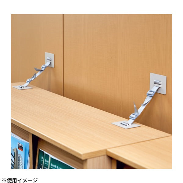 TRUSCO 地震対策 転倒防止PPベルト 2本入 取付範囲 壁～800mm 穴あけ不要 耐荷重約360kg 震度7加振試験済 (SAF-7090GL)(4550414414529) トラスコ中山