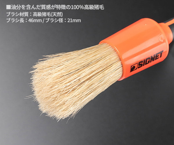 シグネット ディテールブラシＭ ボアーズヘアー (45636)(4545301116686) SIGNET