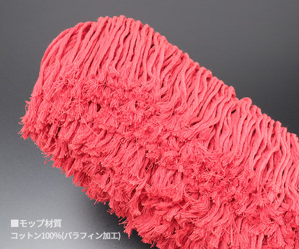 シグネット カーダスター エクストラ (45649)(4545301116785) SIGNET