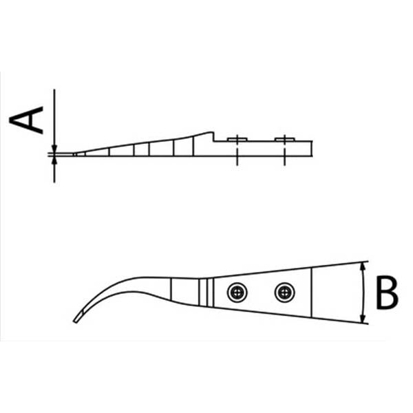 日本正規品 デュモン 先端チップ ツゲ (TIP-7-BUI)(7640241758785) DUMONT