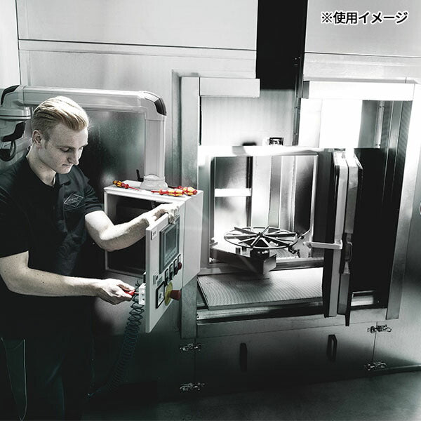日本正規品 ヴェラ #2x100mm (Pozidriv)ドライバー(絶縁) (006164)(4013288029843) ベラ Wera