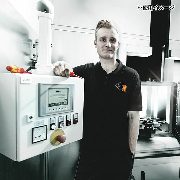 日本正規品 ヴェラ 2本組絶縁ドライバーセット  PH/S #1・2 (006470)(4013288214317) ベラ Wera