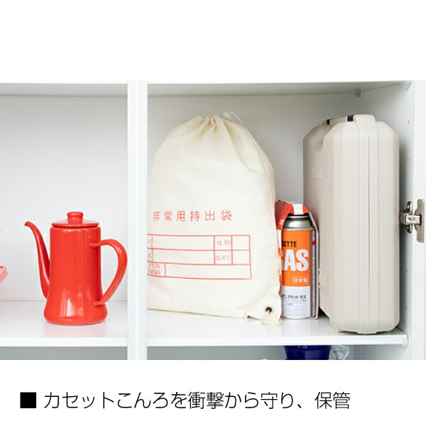 岩谷（イワタニ） 達人スリムシリーズ専用ケース CB-TSL-CASE Iwatani