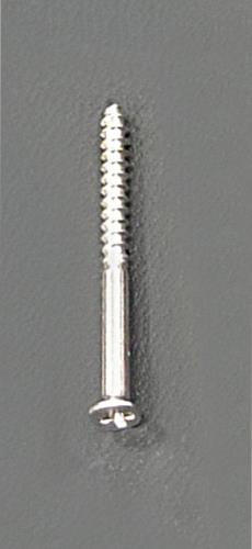 エスコ 2.0x36mm 木工用極細ビス(300本) EA949FC-236 ESCO