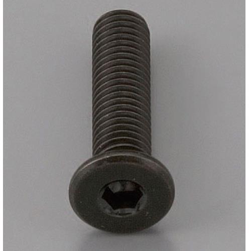 エスコ M12x50mm 六角穴付ボルト(超低頭/クロメート/1本) EA949MG-1250A ESCO