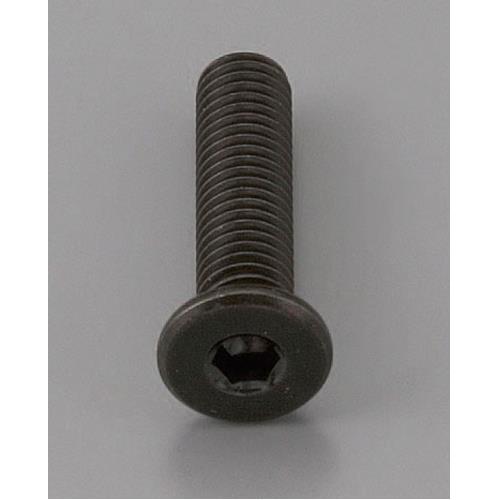 エスコ M3 x12mm 六角穴付ボルト(超低頭/クロメート/4本) EA949MG-312A ESCO