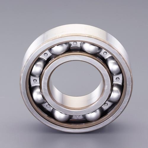 エスコ [6319ZX]深溝玉軸受 EA966EF-319 ESCO