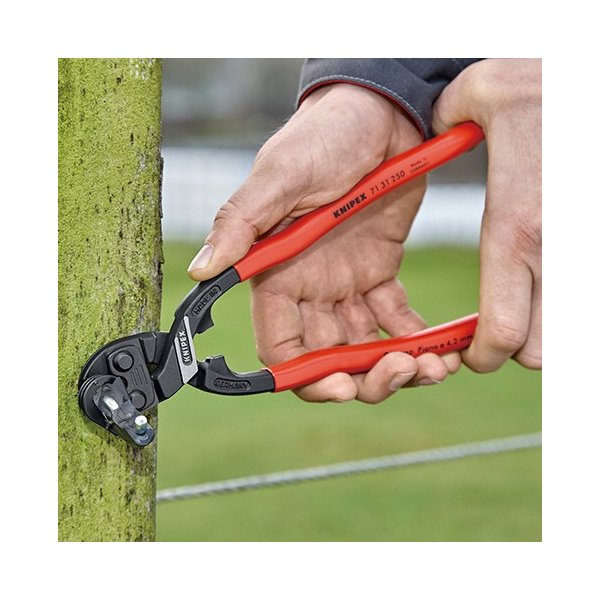 日本正規品 クニペックス 小型クリッパー リセスツキ(SB) (7131