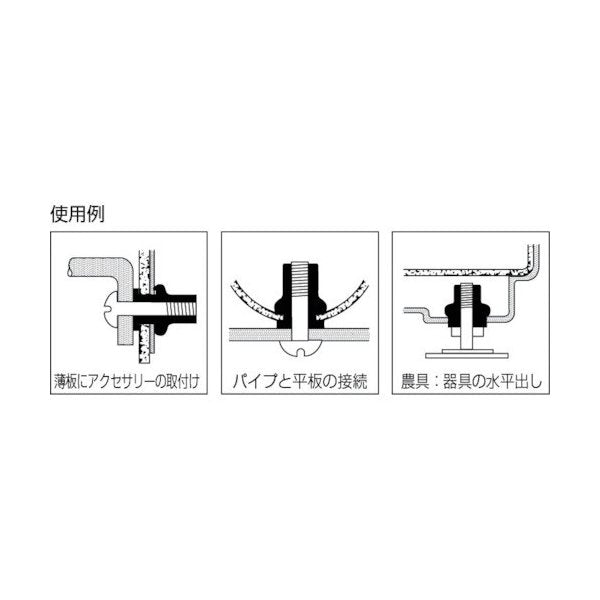 ロブテックス エビ ナット(200本入) Kタイプ ステンレス 5-3.0 NTK5M30 - 3