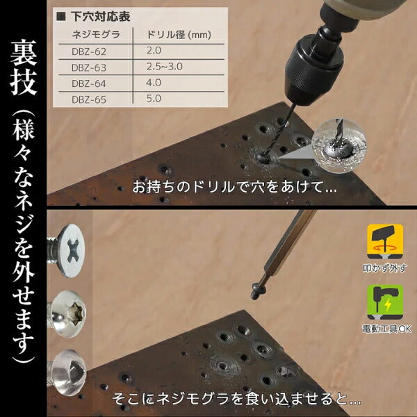 エンジニア ネジザウルスセット PDS-03