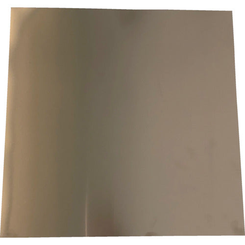 TRUSCO シムプレート ステンレス 0.05×200×200mm SISUS0.05200200 トラスコ
