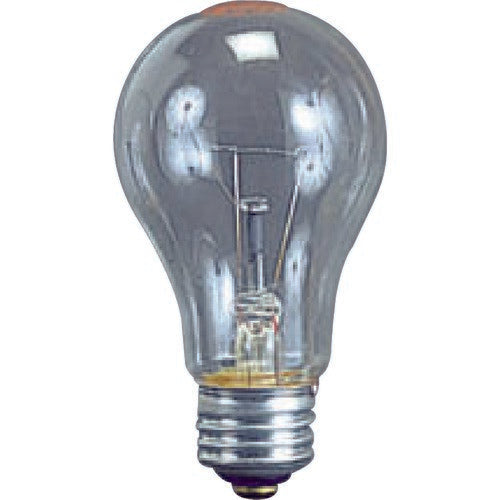 HATAYA（ハタヤ） 耐振電球１００Ｗ （ＩＬＩ、ＫＬ型用）