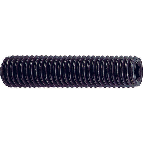 TRUSCO 六角穴付止メネジ サイズM2X2 29本入 B310202 トラスコ