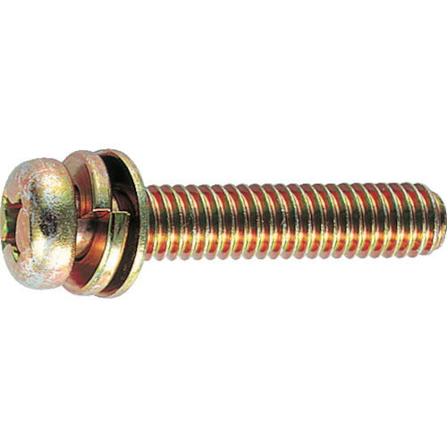 TRUSCO ナベ頭組込ネジ クロメートP-4 サイズM3X10 165本入 B510310 トラスコ