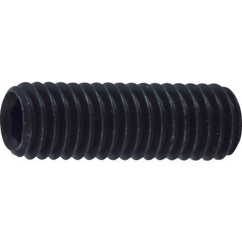 TRUSCO 六角穴付キ止メネジ 平先 スチール M5X16 40本入 B630516 トラスコ