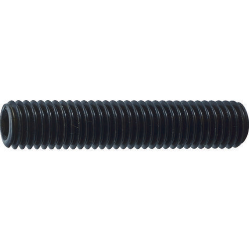 TRUSCO 六角穴付キ止メネジ 平先 スチール M10X30 20本入 B631030 トラスコ