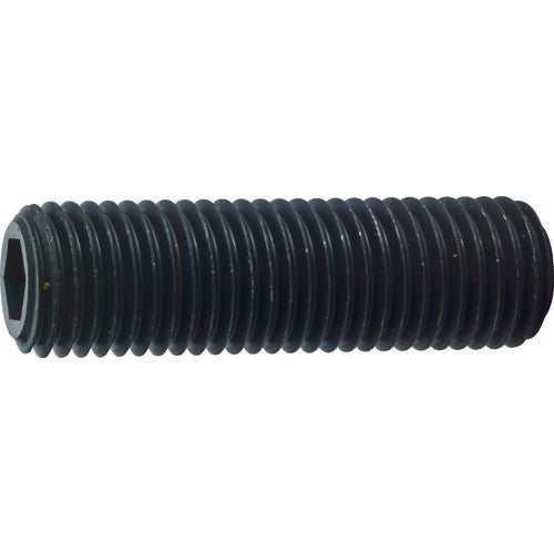 TRUSCO 六角穴付キ止メネジ 平先 スチール M16X15 6本入 B631615 トラスコ