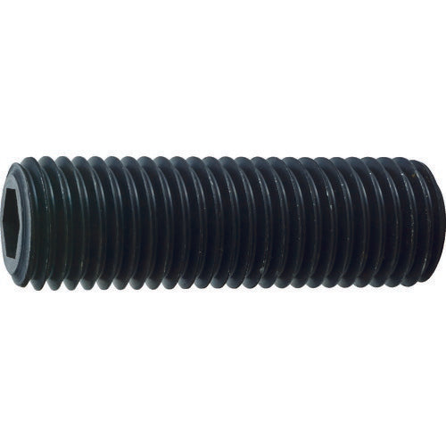 TRUSCO 六角穴付キ止メネジ 平先 スチール M20X45 2本入 B632045 トラスコ