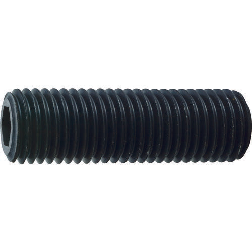 TRUSCO 六角穴付キ止メネジ 平先 スチール M20X50 2本入 B632050 トラスコ