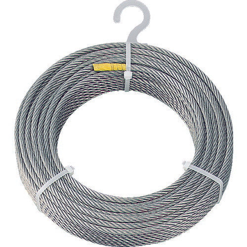 TRUSCO ステンレスワイヤロープ Φ6.0mmX30m CWS6S30 トラスコ