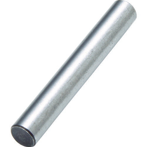 TRUSCO 強力ドレッサーホルダ DH-265用ピン 10本入 DH265P トラスコ