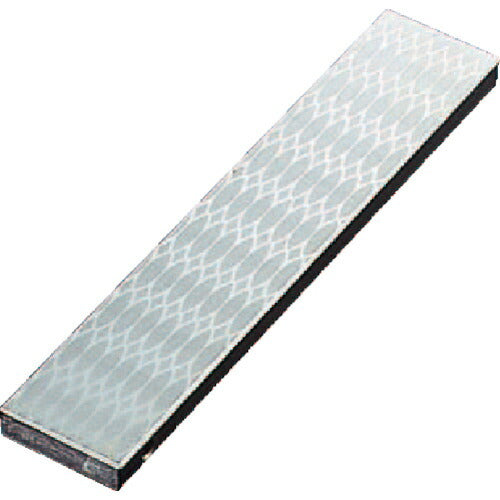 TRUSCO チップストーン 150X30X8 粗仕上用 #170 S1170 トラスコ