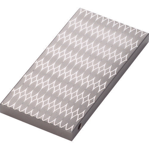 TRUSCO チップストーン 100X50X8 精密仕上用 #1200 S21200 トラスコ
