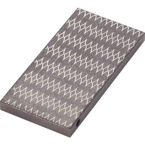 TRUSCO チップストーン 100X50X8 粗仕上用 #170 S2170 トラスコ