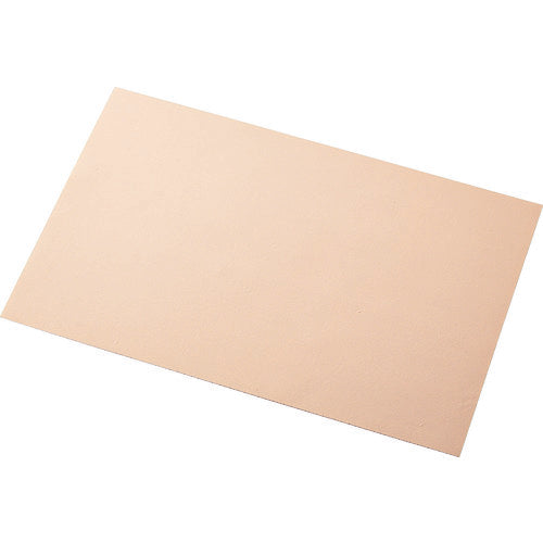 TRUSCO 滑リ止メシート 両面タイプ A4サイズ TNSSA4 トラスコ