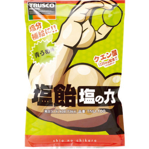 TRUSCO 【※軽税】塩飴 塩ノ力 100g袋入 青梅味 (1袋入) TNU100 トラスコ