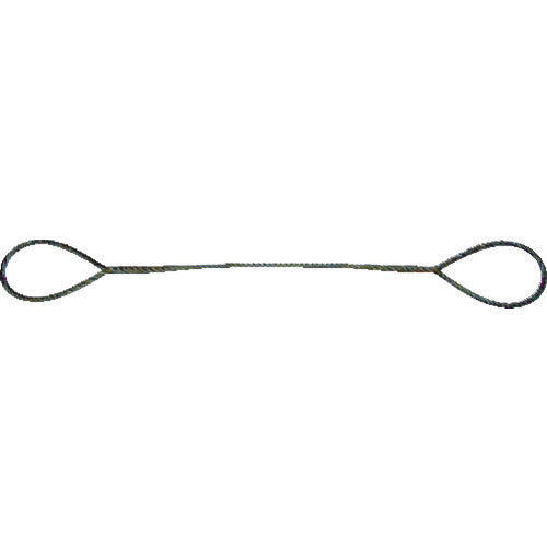 TRUSCO 玉掛ケワイヤーロープ 段落シ 12mmX1m TWD12S1 トラスコ