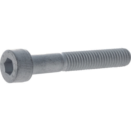 TRUSCO 14.9超強度六角穴付ボルト スチ-ル・デルタプロテクト 半ネジ M10X45 2本入 Y149D1045 トラスコ